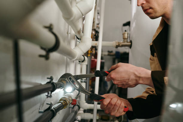 Best Clogged Drain Plumber  in Chesilhurst, NJ