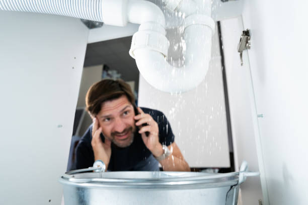 Best Residential Plumbing Services  in Chesilhurst, NJ